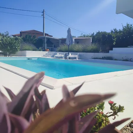 Lunaria 布拉加伊