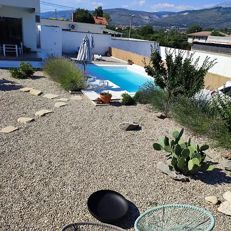 Lunaria 布拉加伊